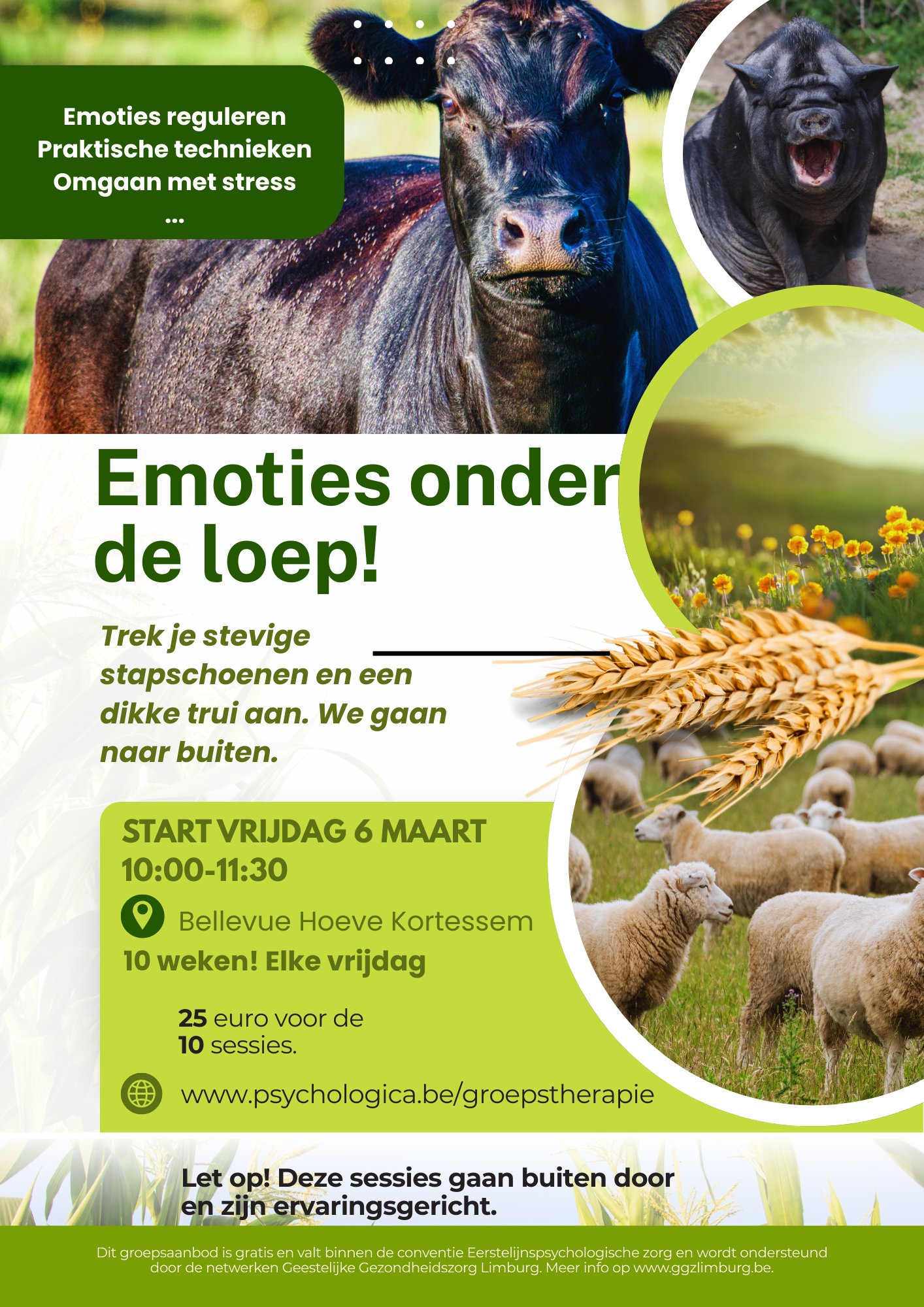 Emoties onder de loep! Emotieregulatie OUTDOOR