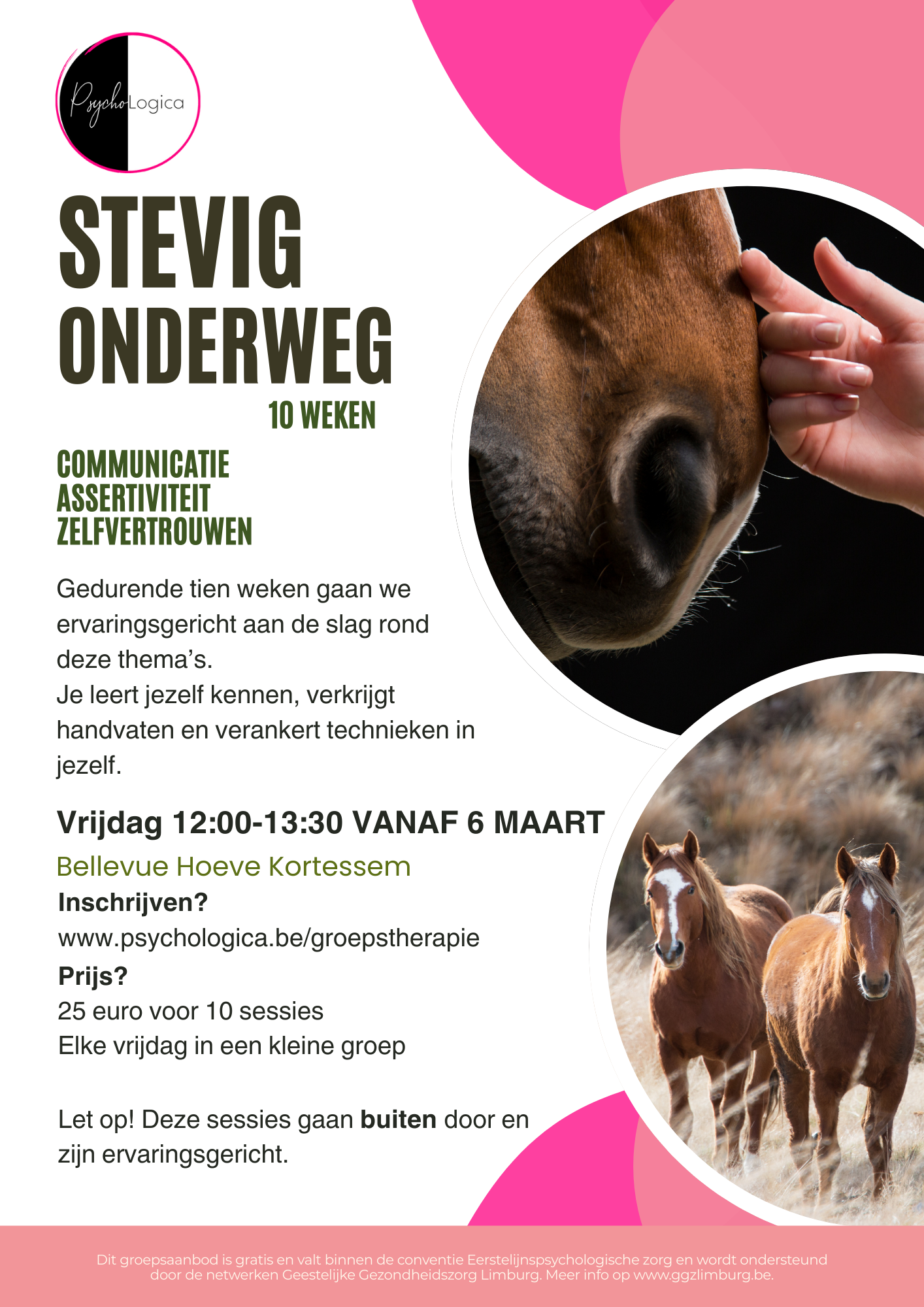 Stevig onderweg! Communicatie, assertiviteit en zelfvertrouwen