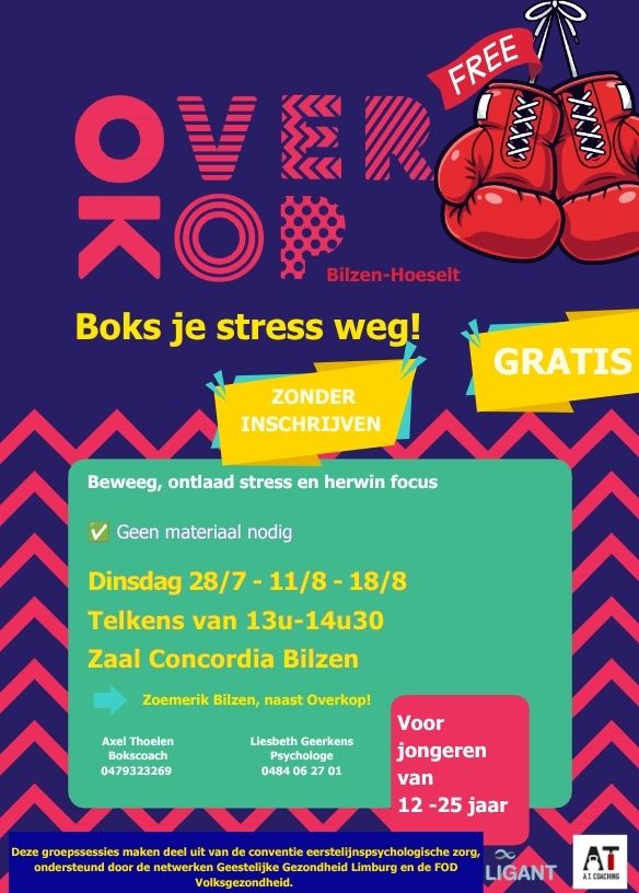 Boks je stress weg! Beweeg - Ontlaad stress - Herwin focus: voor jongeren van 12 tem 25 jaar