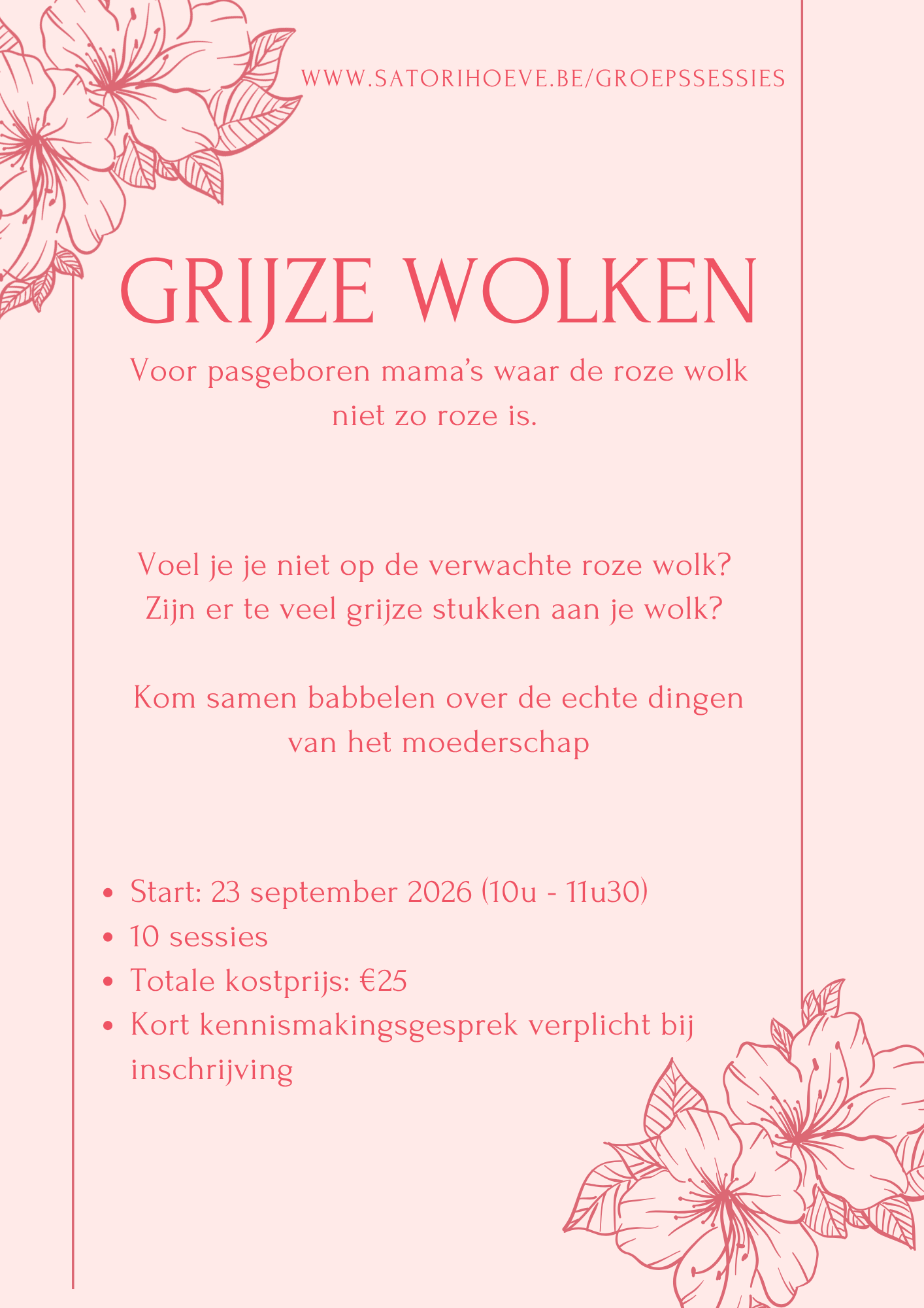 Grijze Wolken - Voor mama's bij wie de roze wolk niet zo roze is