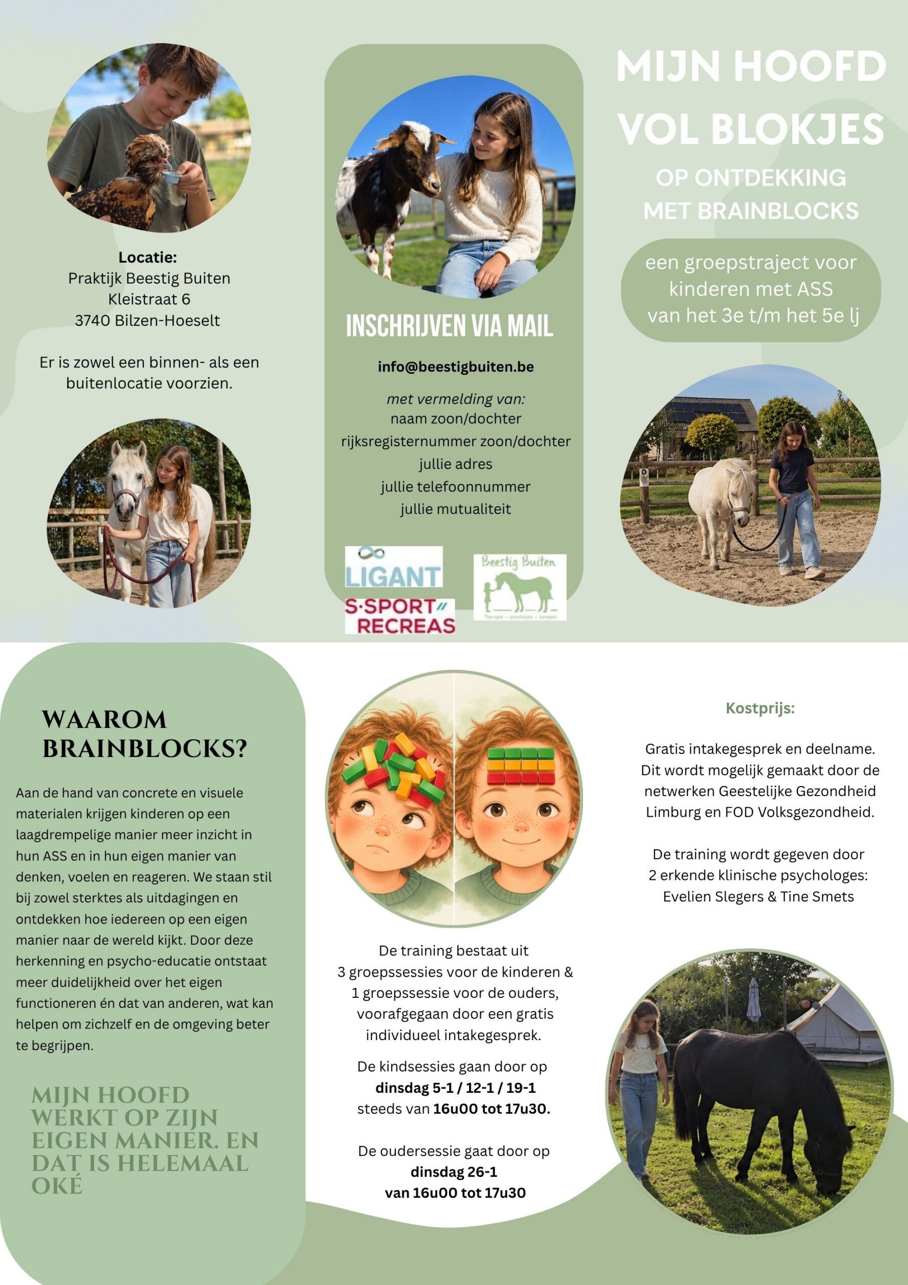 Mijn hoofd vol blokjes - op ontdekking met brainblocks - voor kinderen van het 3e t/m het 5e leerjaar, met ASS